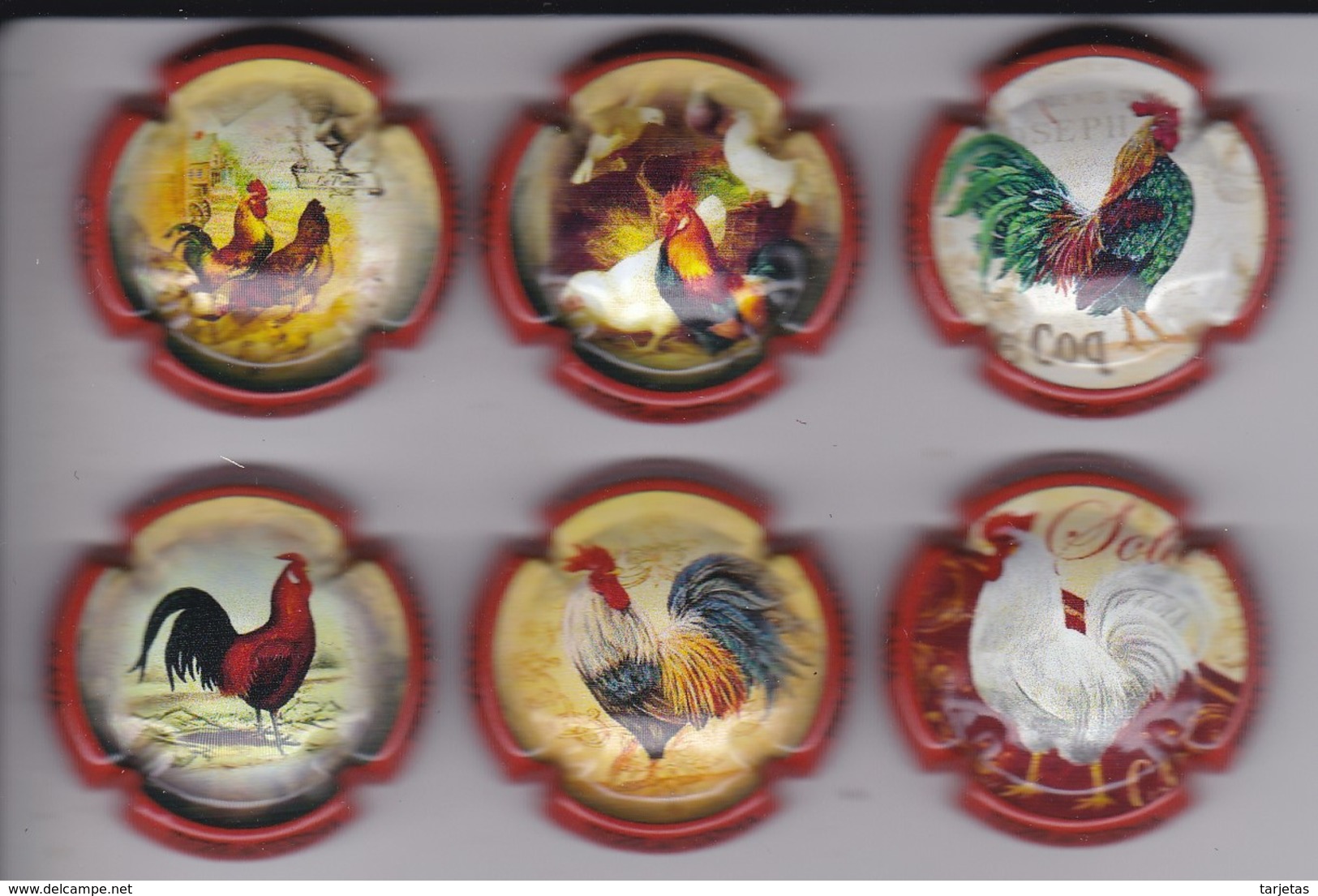 SERIE COMPLETA DE 6 PLACAS DE CAVA TERRAFERMA DE GALLOS (CAPSULE) GALLO-COQ - Placas De Cava