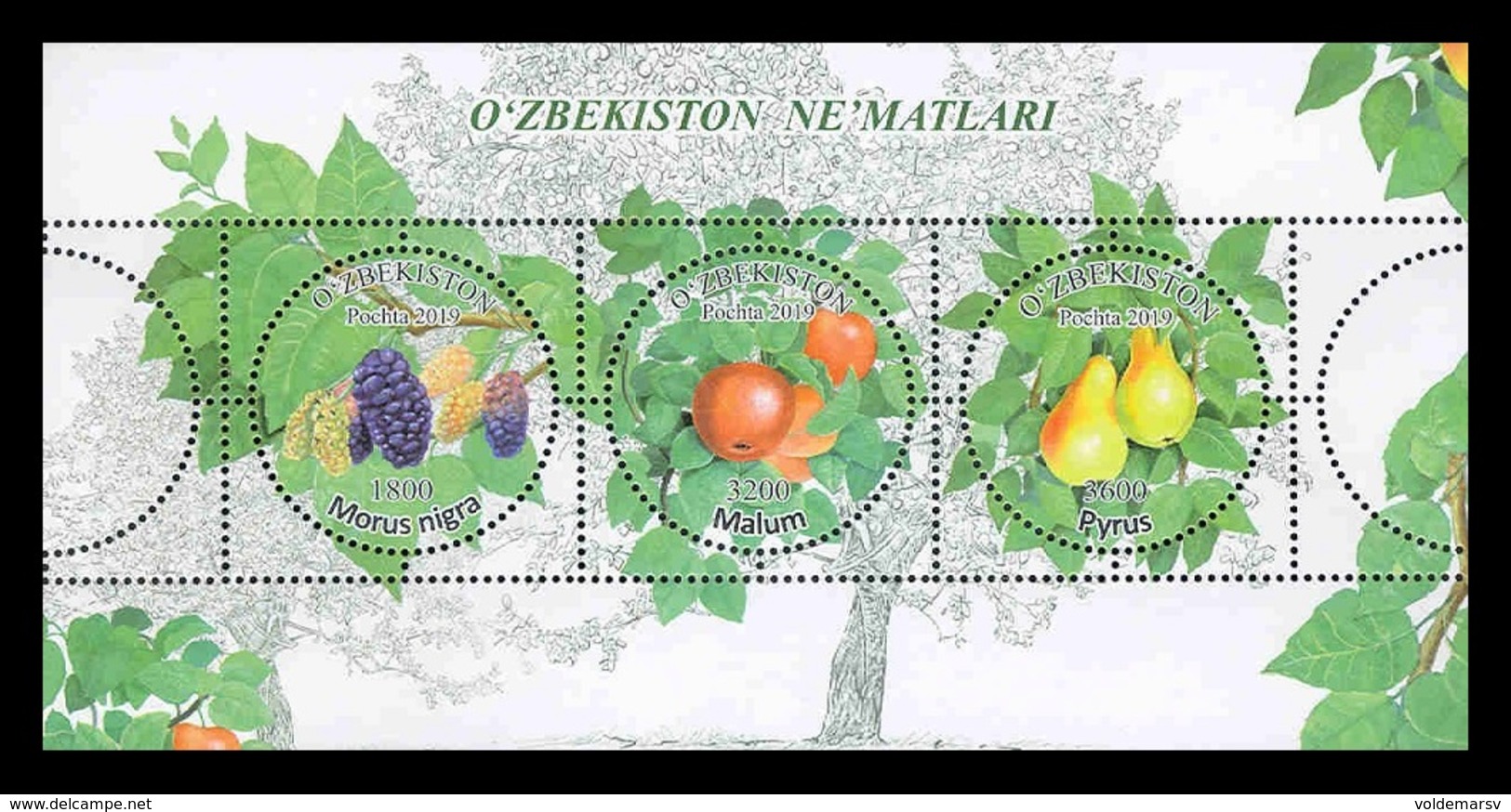 Uzbekistan 2019 Mih. 1355/57 (Bl.95) Flora. Fruits MNH ** - Uzbekistán