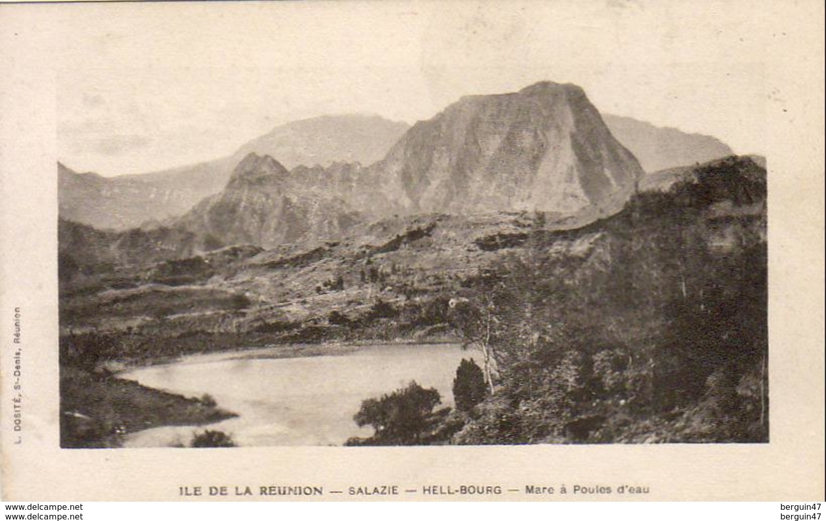 LA RÉUNION  SALAZIE  HELL - BOURG  Mare à Poules D'Eau - Autres & Non Classés