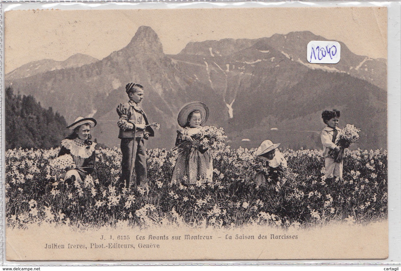 Lot -L335-SUISSE-Belle sélection 40 CP (ttes catégories) Canton  de VAUD -( scans et description)