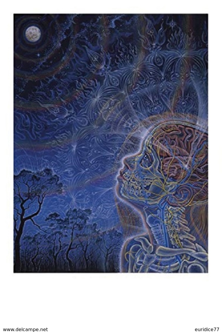 Postcard Pschedelic Art - Alex Grey - Size 15x10 Cm. Aprox. Unused - Pintura & Cuadros