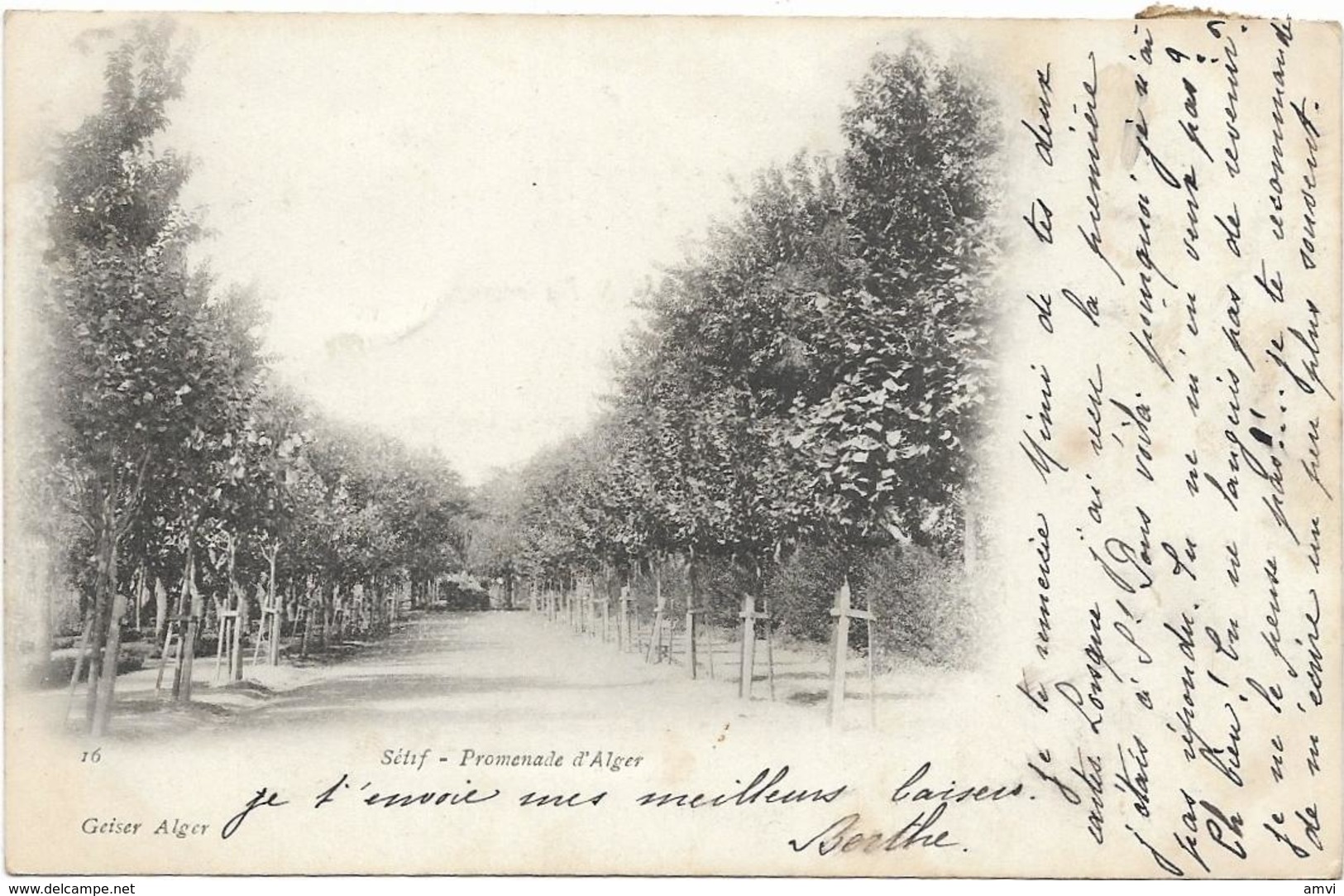 3999 - Lot De 4 Cpa Algerie Setif Fontaine Du Spahi - Theatre - Statue Promenade D'alger - Sétif