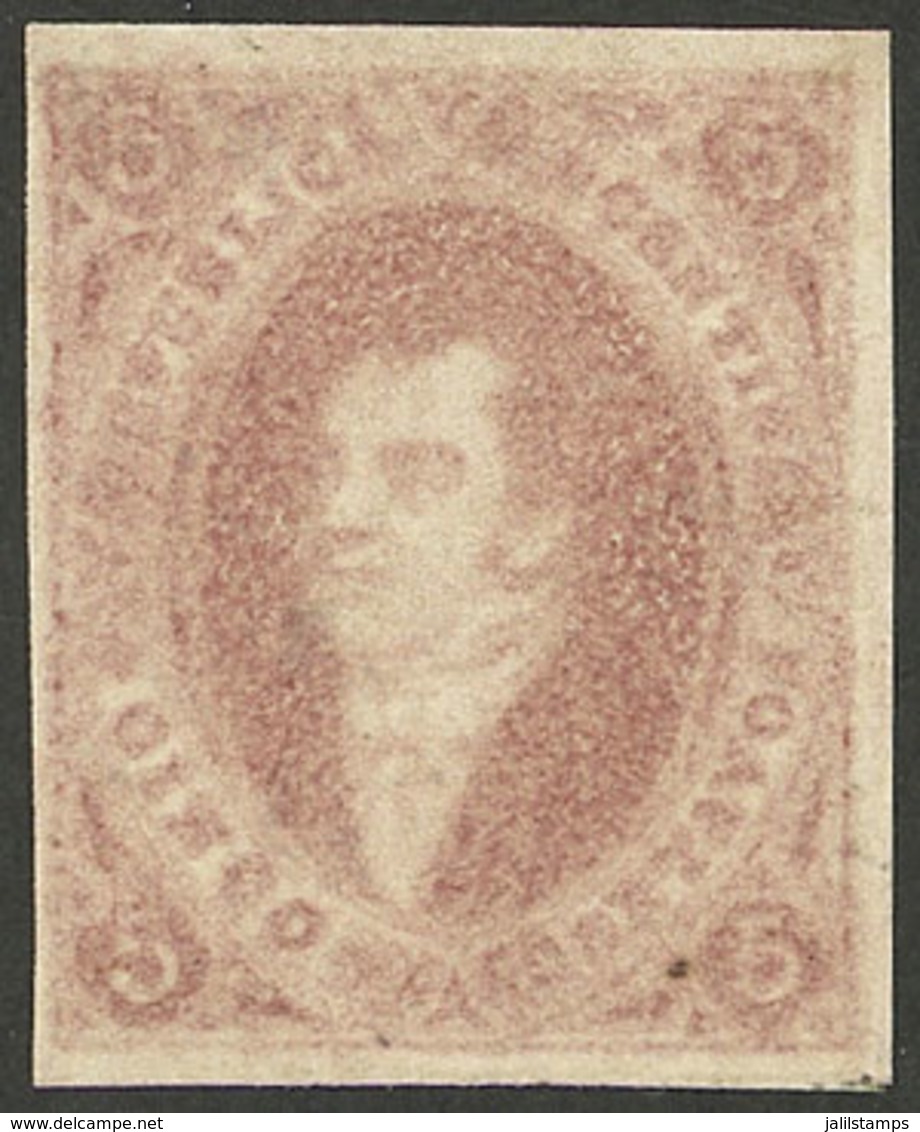 ARGENTINA: PROOFS AND ESSAYS: GJ.E 28, 1871 Proof Of 8th Printing Printed In Buenos Aires On Paper Of 50 Microns, 5c. Du - Lettres & Documents