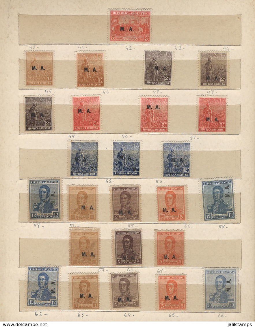 ARGENTINA: GJ.50 + Other Values, Old Collection Of Official Department Stamps In Stockbook, Mint And Of Excellent Qualit - Servizio