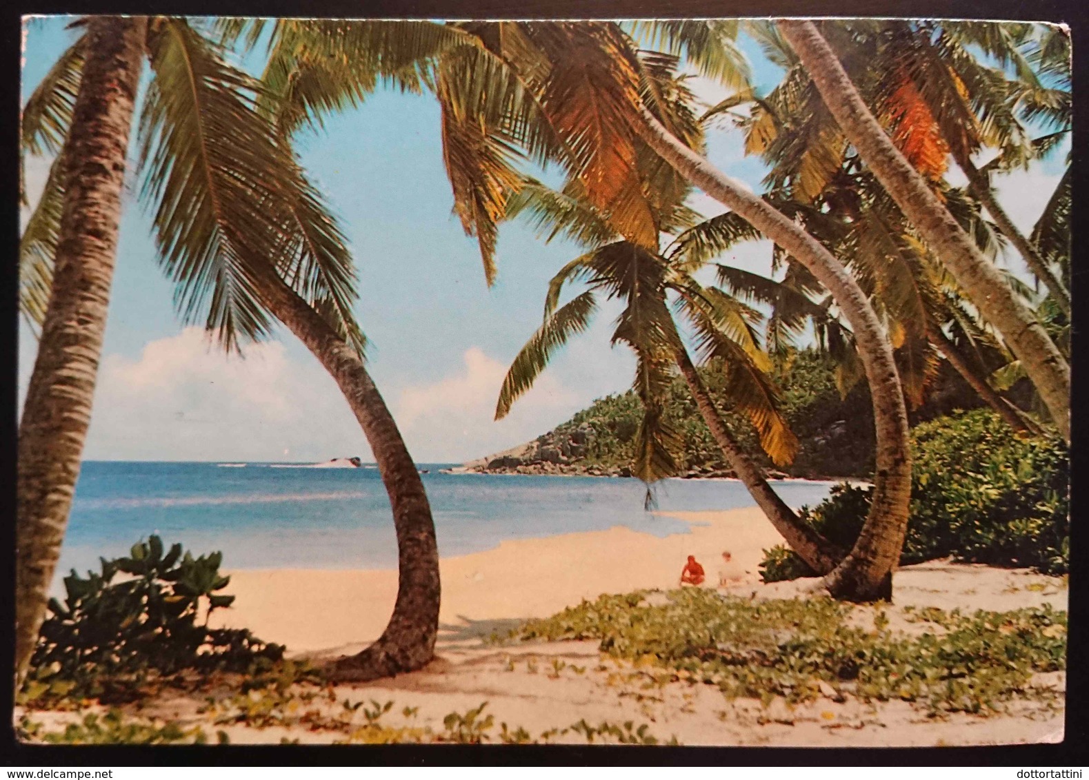 SEYCHELLES - Anse Intendance - Palmes - Vg - Seychelles