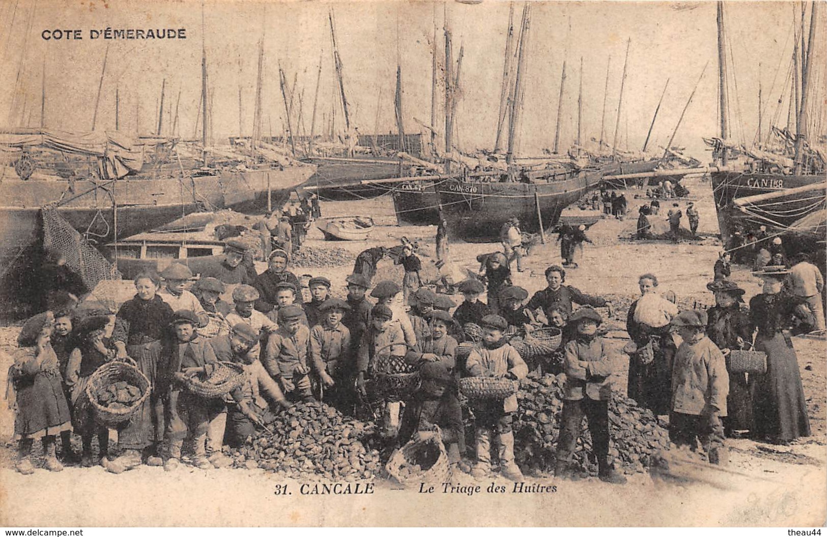 ¤¤  -  CANCALE    -   Le Triage Des Huitres    -  ¤¤ - Cancale