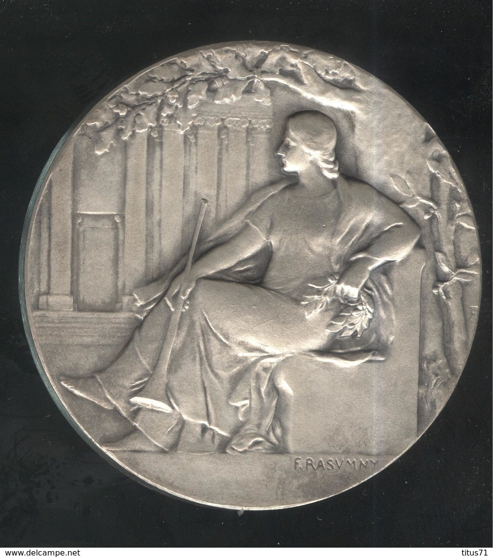 Médaille Trompette De La Renommée - Bronze Argenté - Non Attribuée - Professionali / Di Società