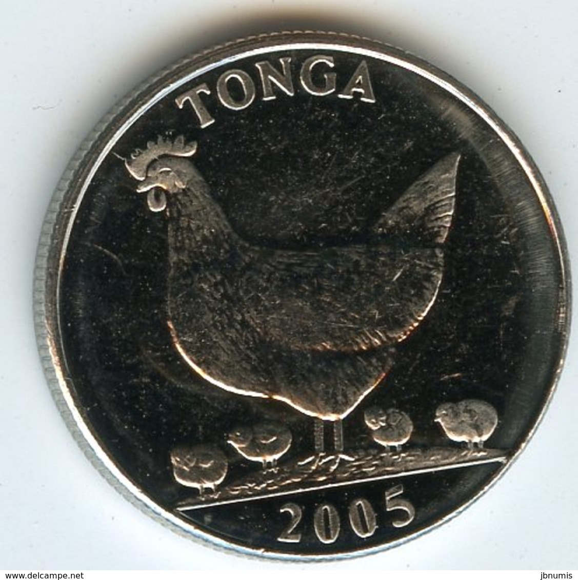 Tonga 5 Seniti 2005 FAO Poule UNC KM 68a - Tonga