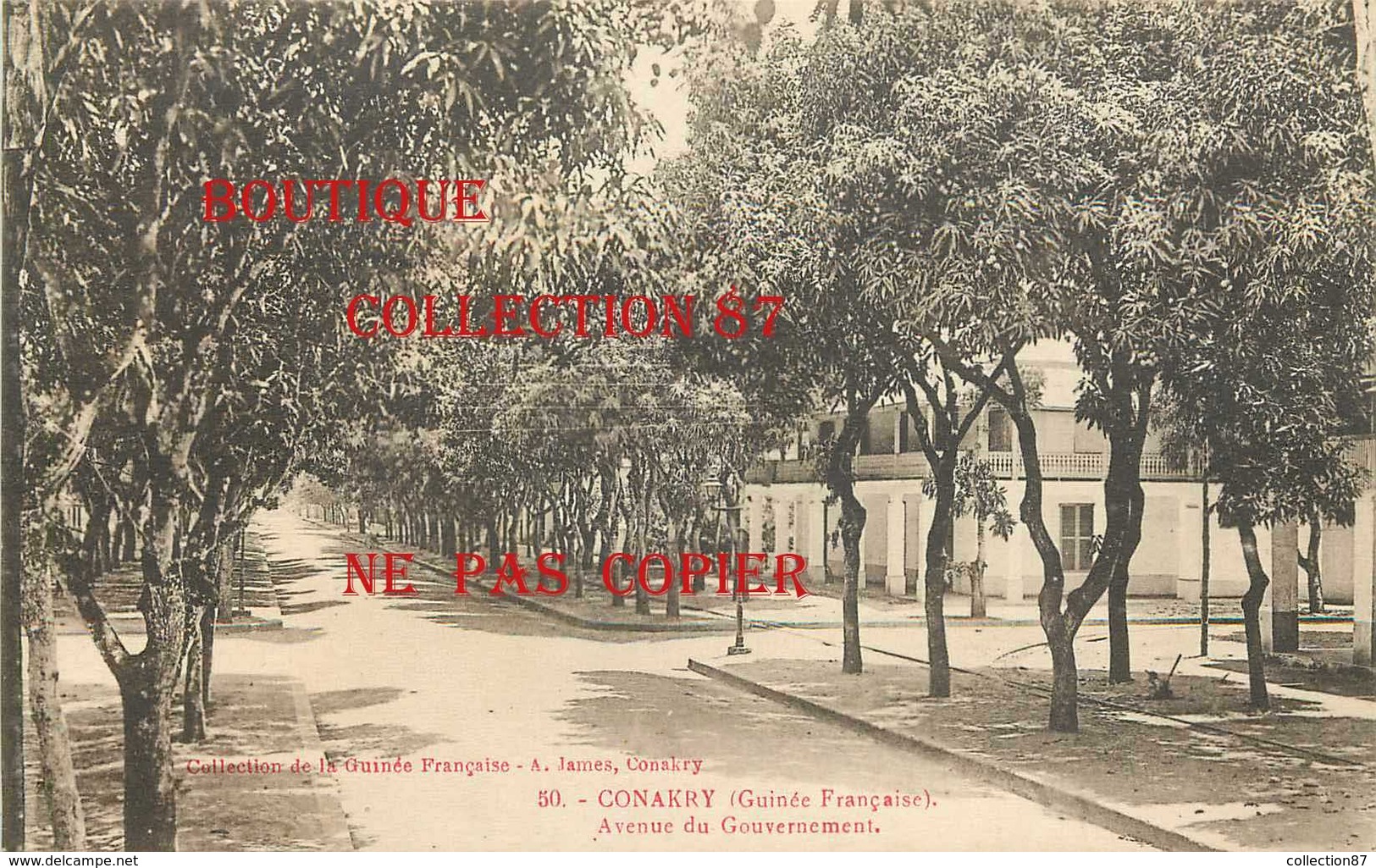 ☺♦♦ GUINEE - CONAKRY - AVENUE Du GOUVERNEMENT < N° 50 Edition A. James - Frans Guinee