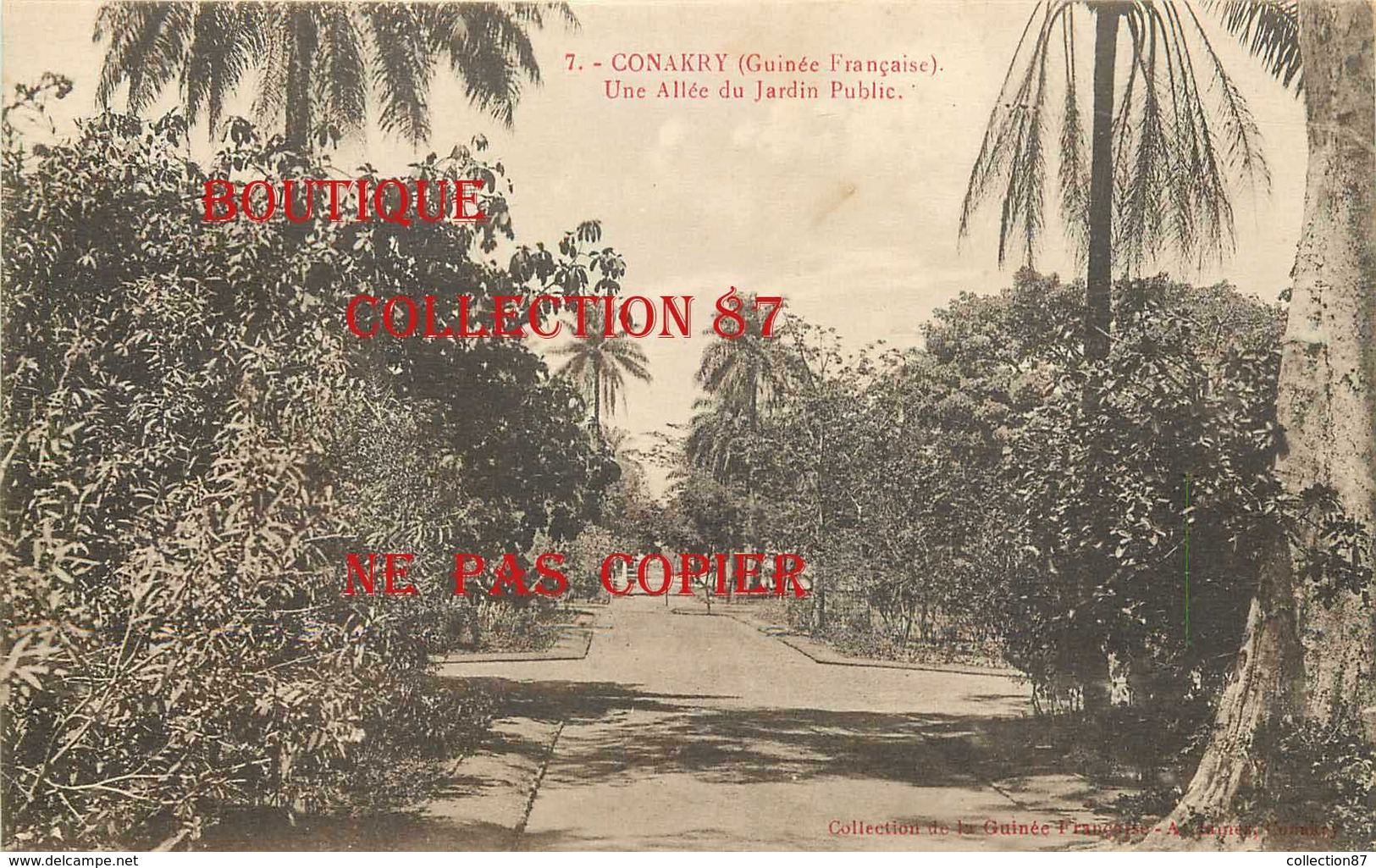 ☺♦♦ GUINEE - CONAKRY - UNE ALLEE Du JARDIN PUBLIC < N° 7 Edition A. James - Guinée Française