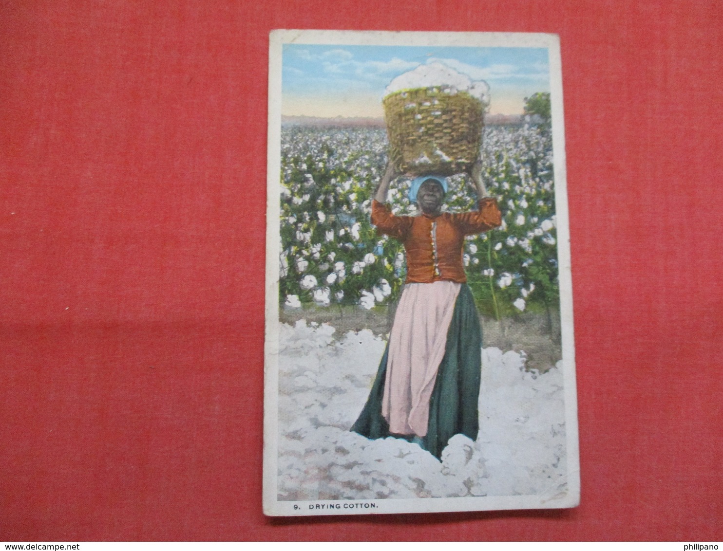 > Black Americana  Drying Cotton   Ref 3493 - Black Americana
