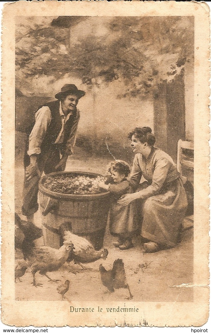 DURANTE LA VENDEMMIA - TIMBRO DI POSTA MILITARE - FORMATO PICCOLO - VIAGGIATA 1916 - (rif. N166) - Vigne