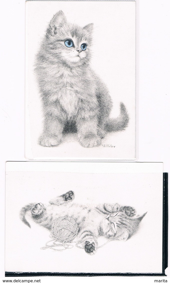 2 Cartes Chat  - Cat -katze-  Poes -gatto - Cats