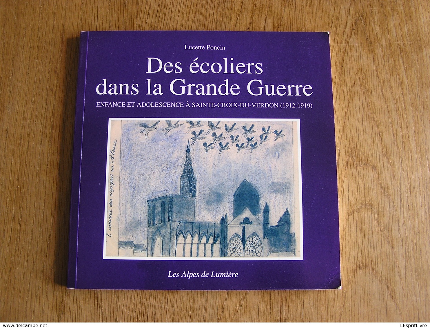 DES ECOLIERS DANS LA GRANDE GUERRE Régionalisme Sainte-Croix Du Verdon Guerre 14 18 Ecole Alpes Vie Rurale Histoire - Guerre 1914-18