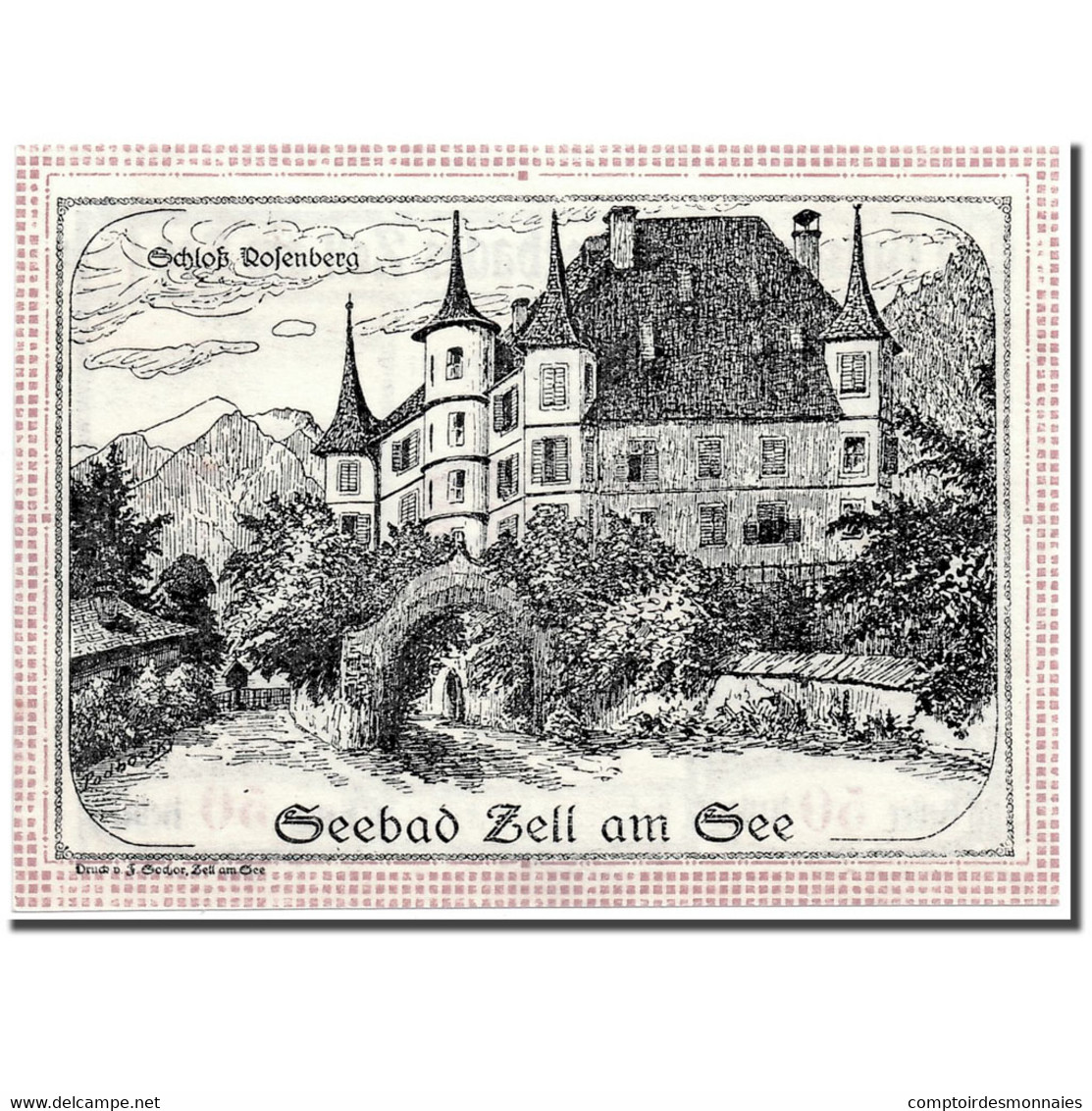 Billet, Autriche, Seebades Zell Am See, 50 Heller, Château, 1920, 1920-06-01 - Austria