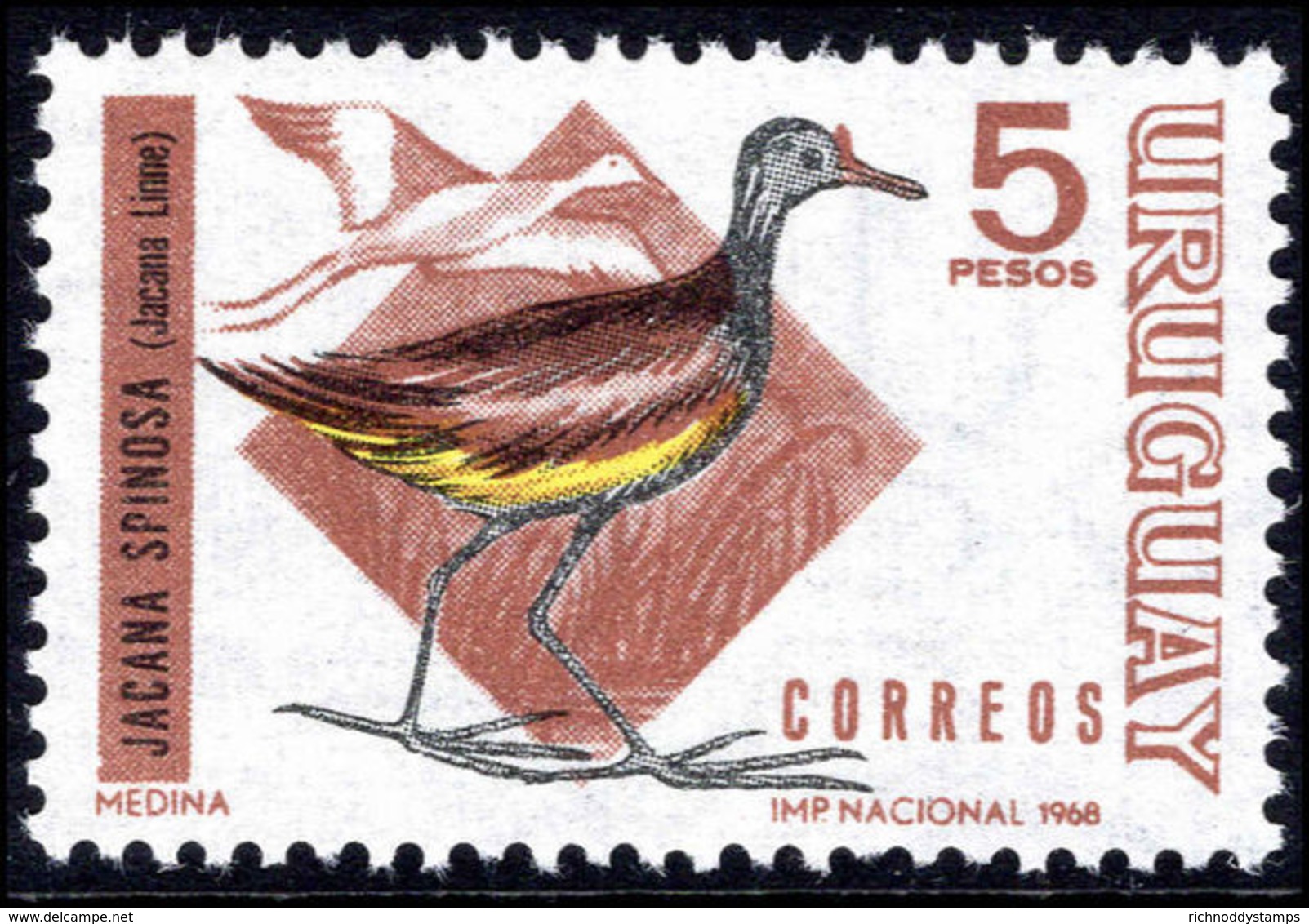 Uruguay 1968 5p Wattled Jacana Unmounted Mint. - Uruguay