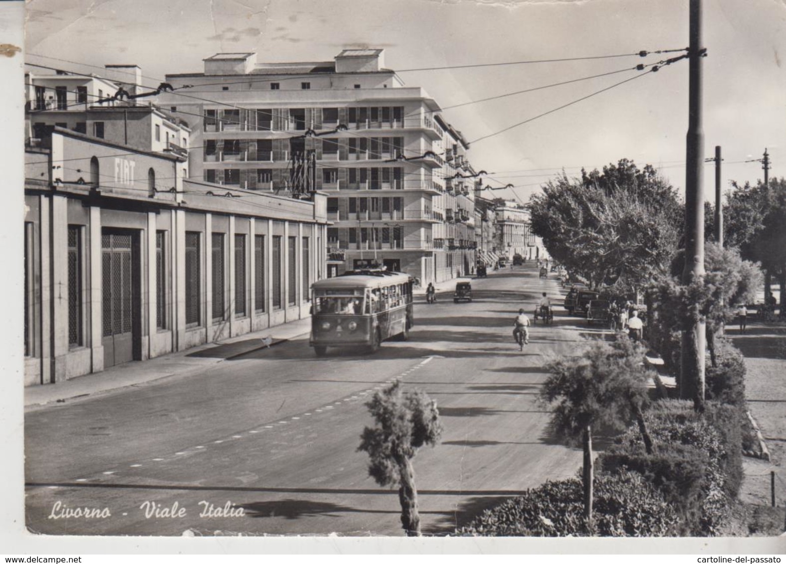 LIVORNO VIALE ITALIA TRAM FILOBUS - Livorno