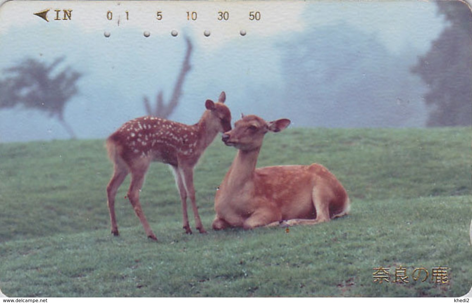 Télécarte Japon / 110-011 - ANIMAL - BICHE DAIM & FAON - HIND DOE Japan Phonecard - HIRSCH KUH - BE 131 - Autres & Non Classés