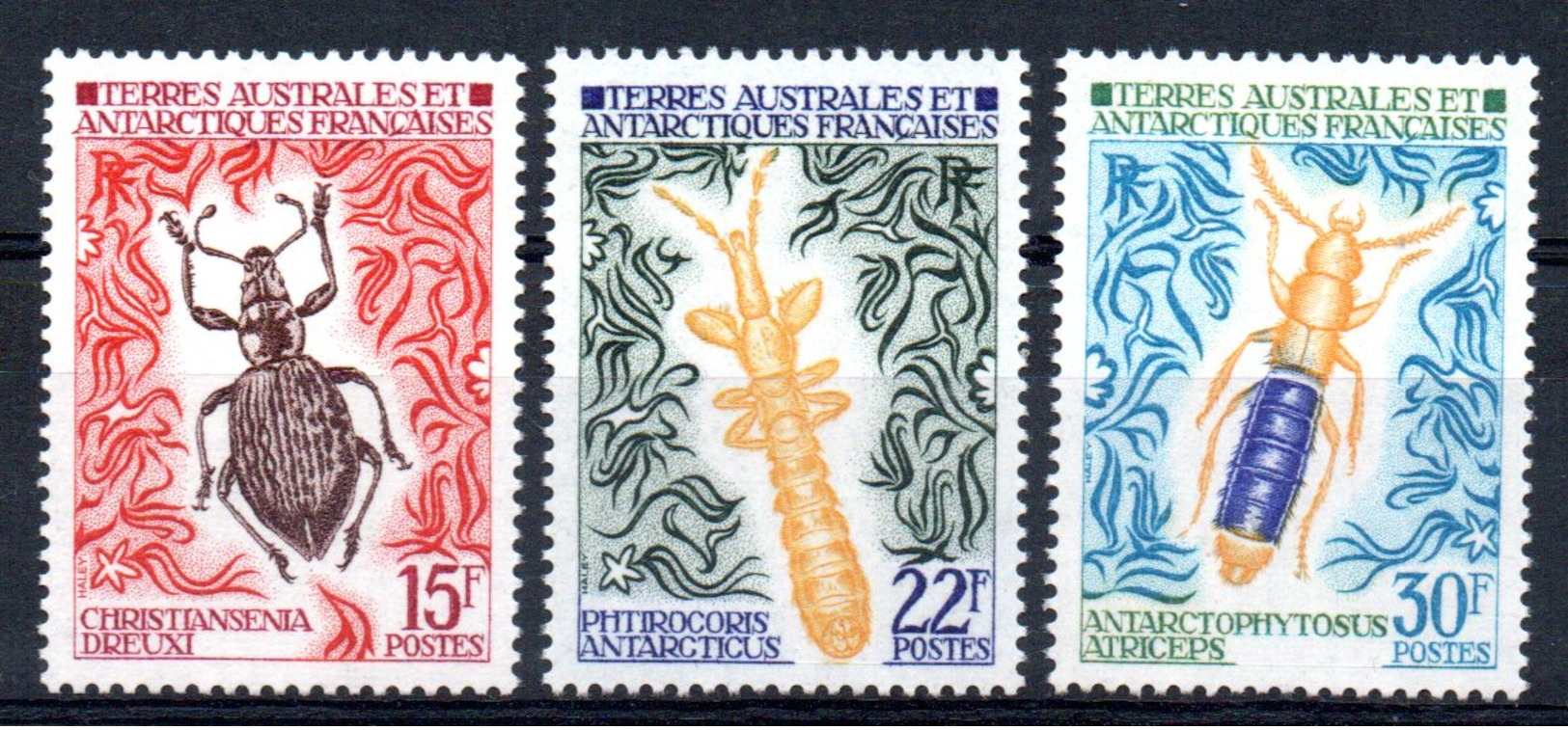 TAAF - YT N° 49 à 51 - Neufs ** - MNH - Cote: 59,00 € - Neufs