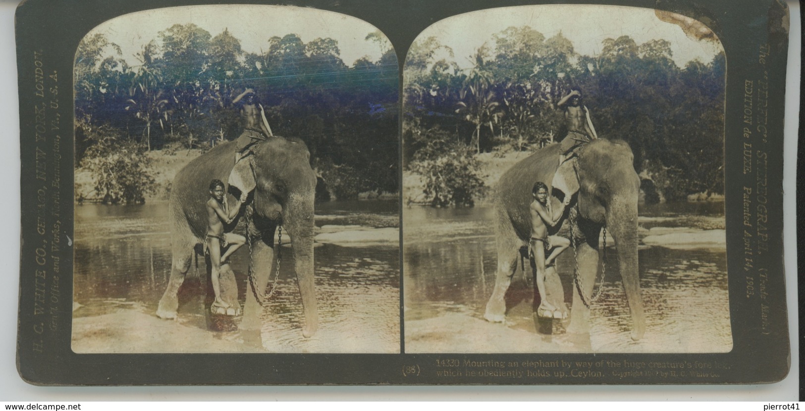 PHOTOS STEREO - CEYLAN - CEYLON - Mounting An Elephant ... - Stereoscopic