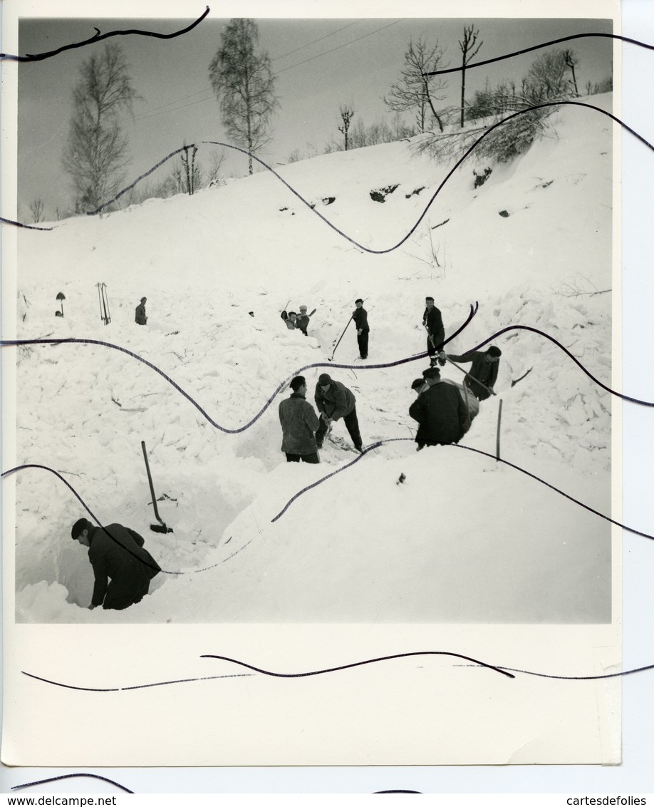 PHOTO ANIMÉE. D73. Saint-Colomban-des-Villards. Les Habitants Sondent La Coulée D'avalanche. Neige. Année 1943 . Andre G - Places