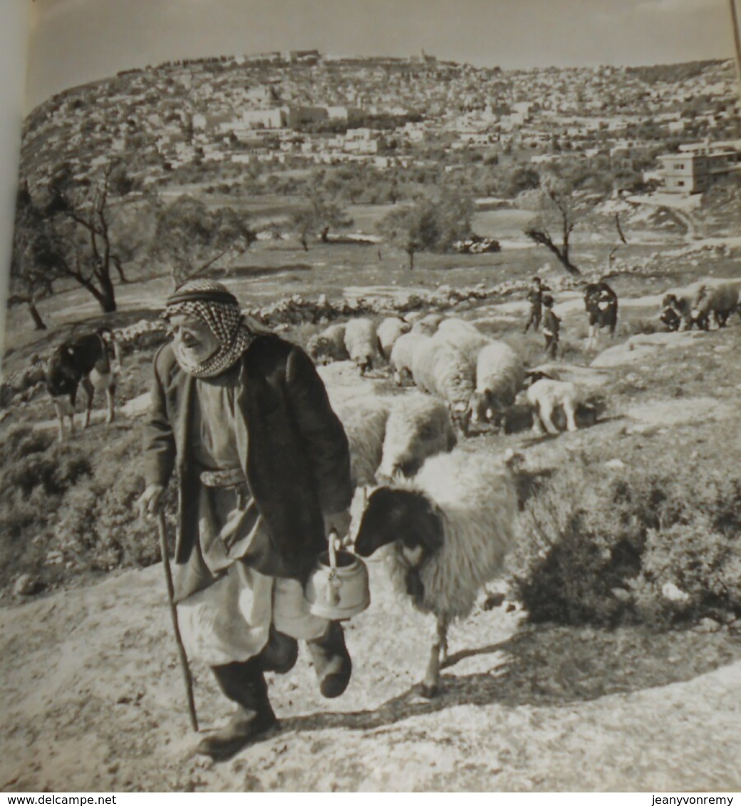 Livre Soldé. Israël Que J'aime. Joseph Kessel. 1966. - Storia