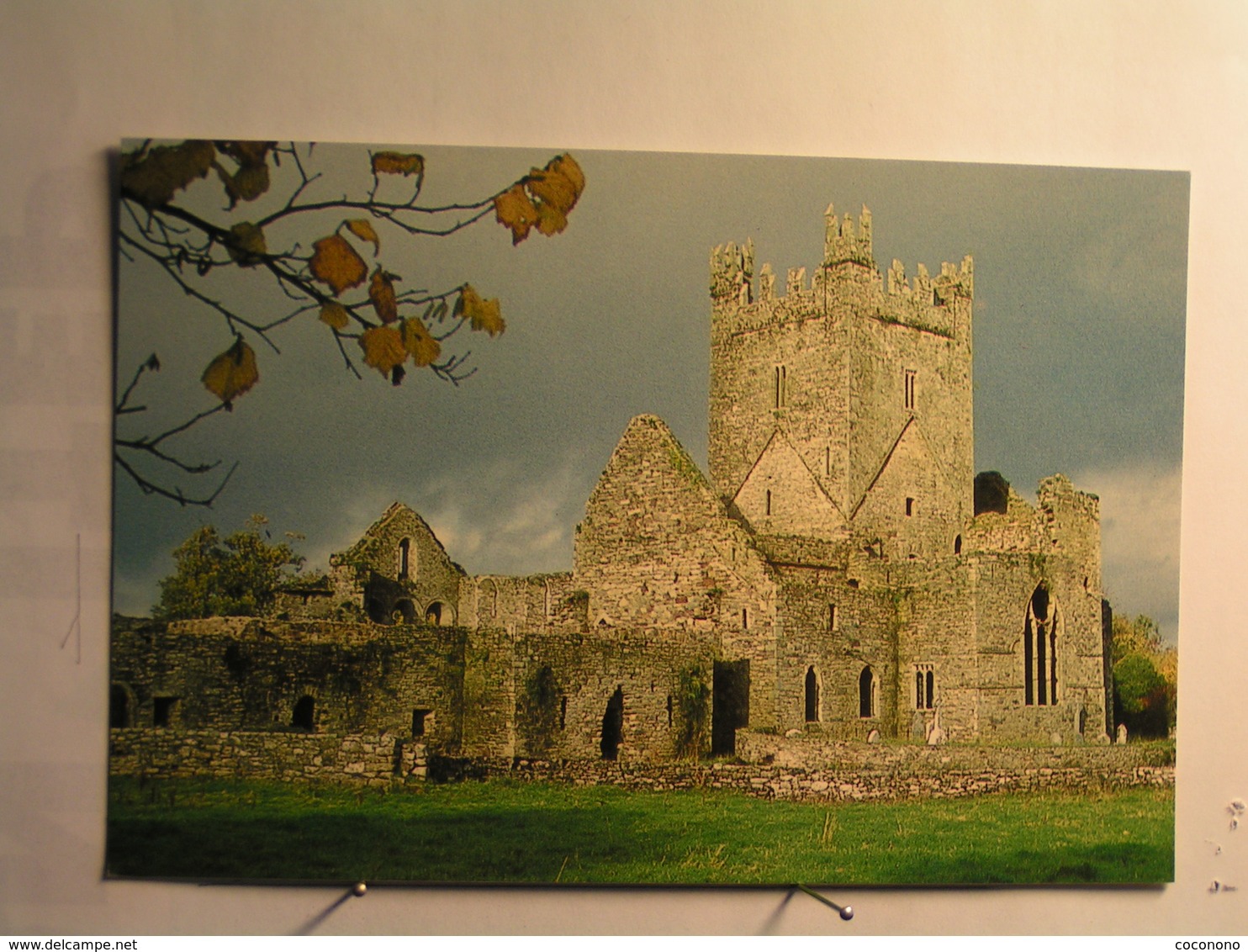 Thomastown - Jerpoint Abbey - Kilkenny