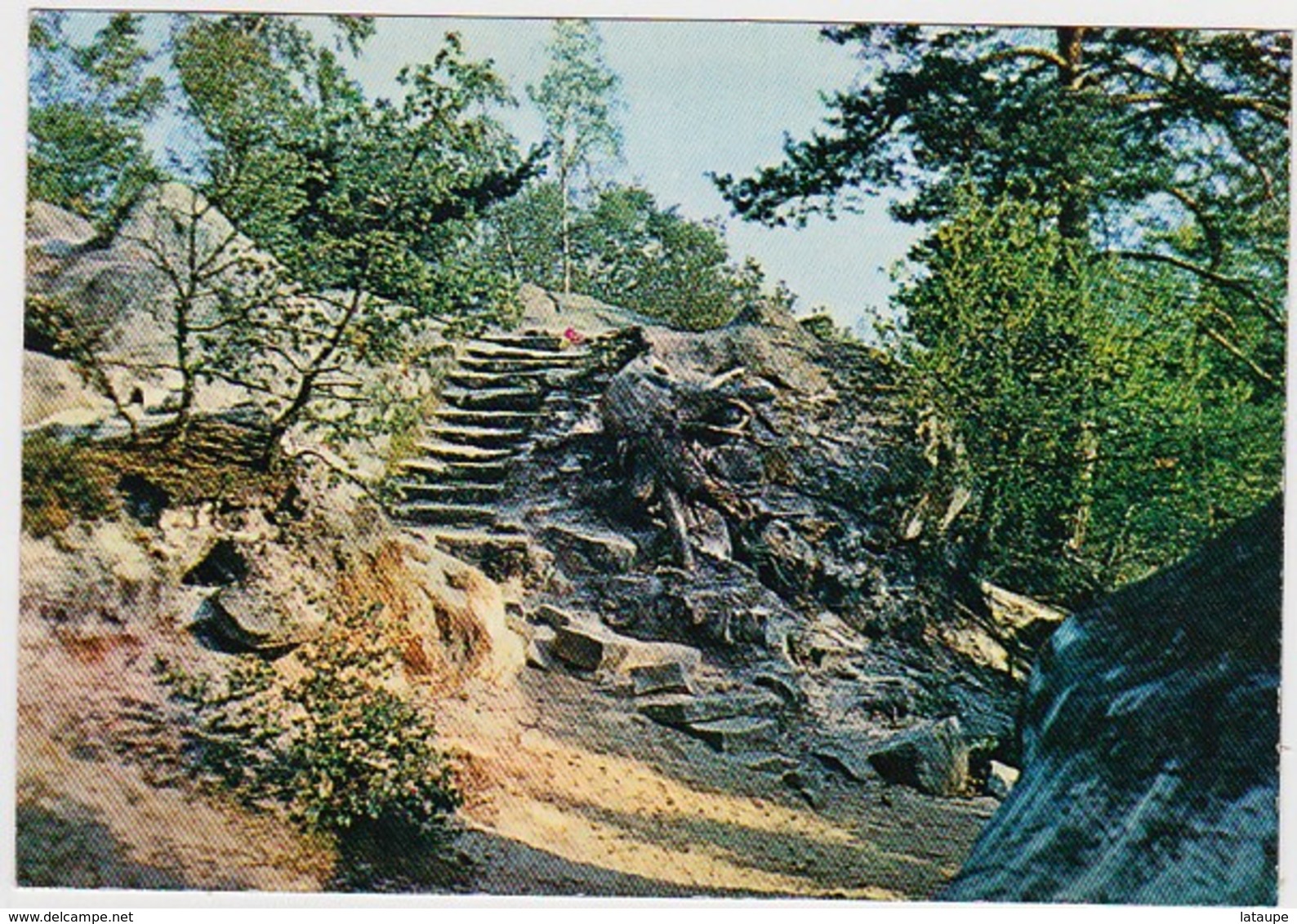 SEINE-ET-MARNE - FONTAINEBLEAU - Forêt - Escalier - Fontainebleau