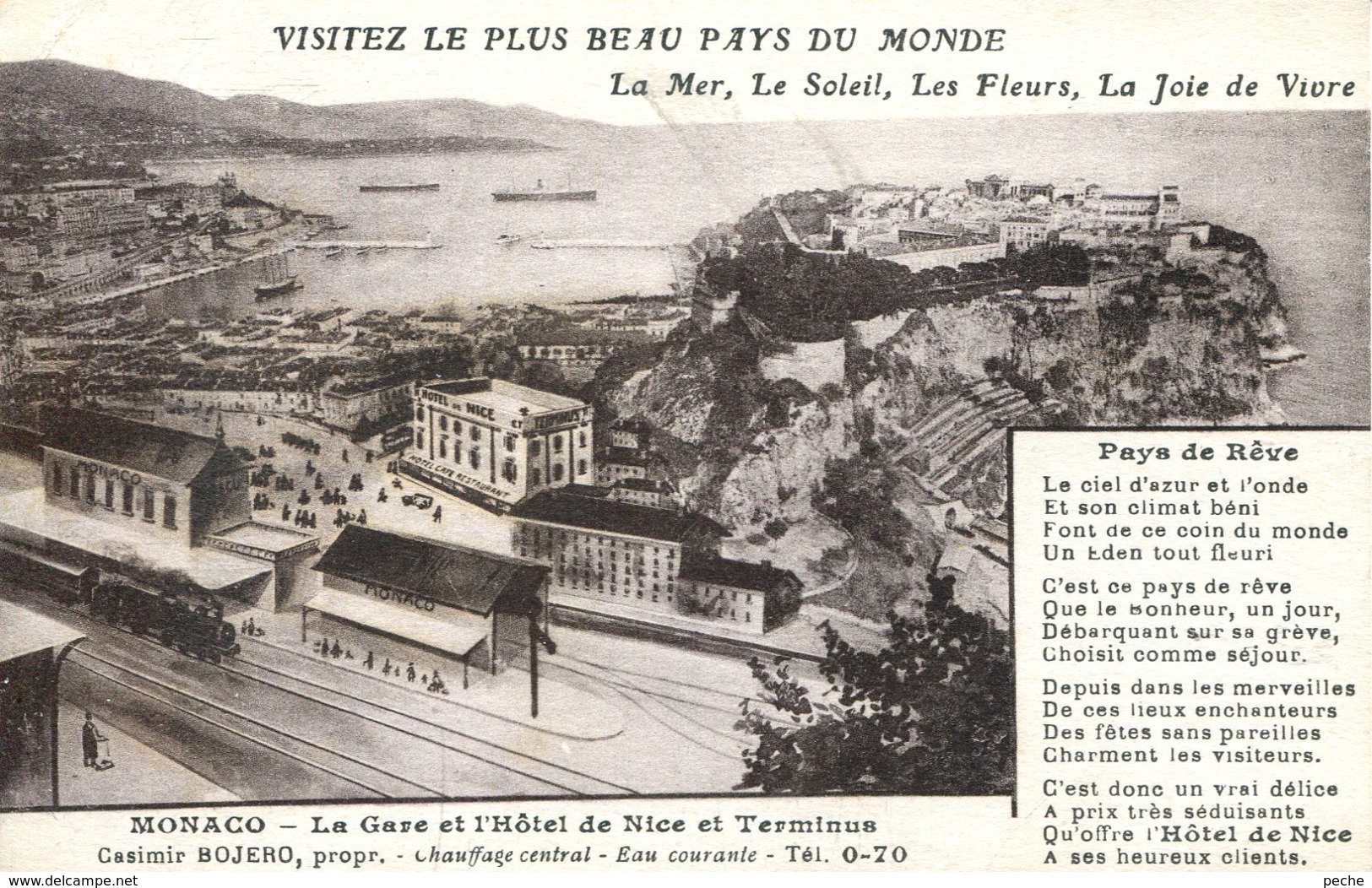 N°74568 -cpa Monaco -la Gare Et L'hôtel De Nice Et Terminus- - Hôtels