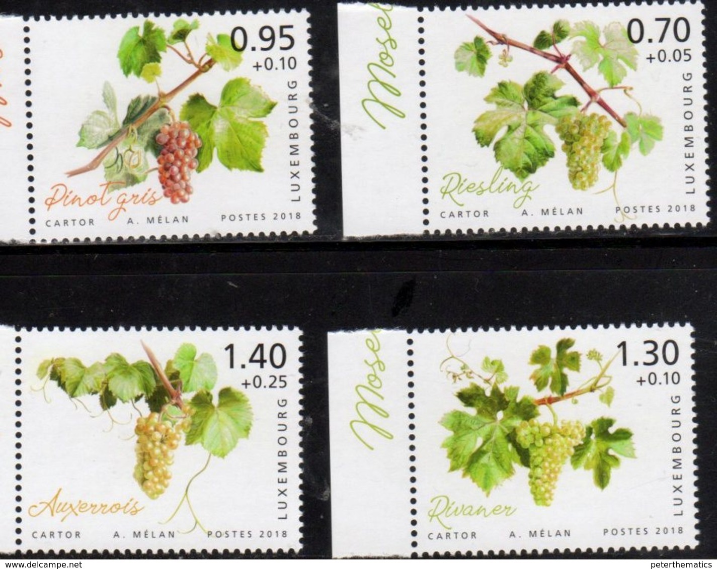 LUXEMBOURG, 2018, MNH, CHARITY STAMPS, MOSELLE REGION, GRAPES, VINES, 4v - Frutta