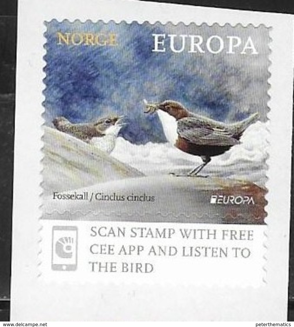 NORWAY , 2019, MNH, EUROPA, BIRDS,1v - 2019