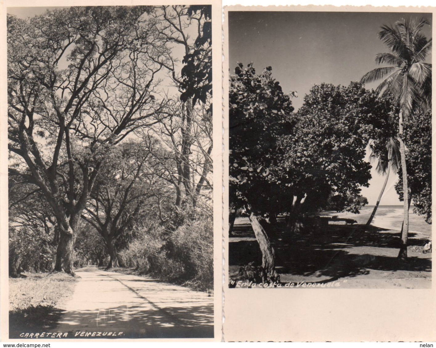 2 FOTOCARTOLINE-CARRETERA-EN LA COSTA DE VENEZUELA-NON VIAGGIATA - Venezuela