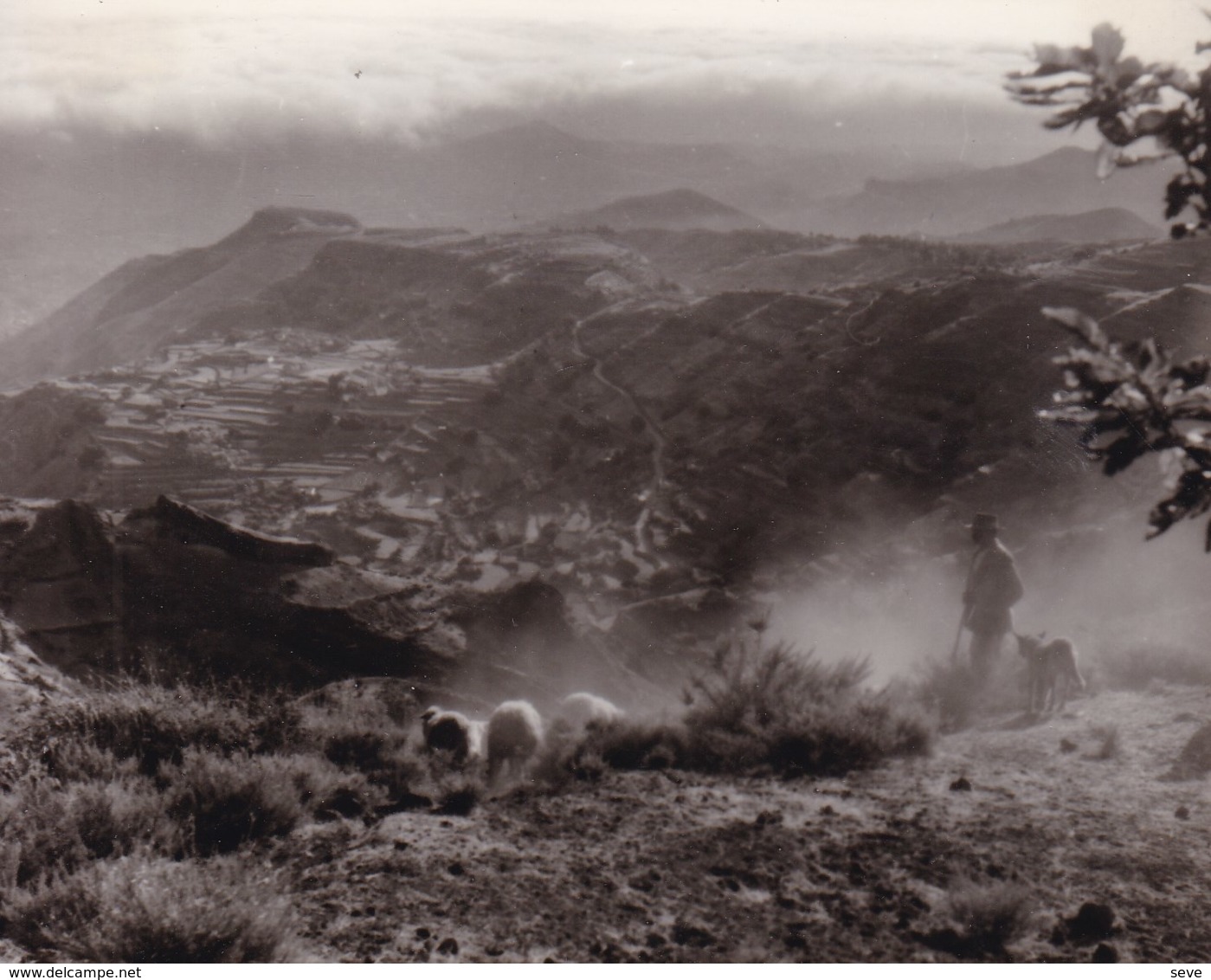 GRAN CANARIA. CRUZ De TEJEDA  1956 Espagne Photo Amateur Format Environ 5,5 Cm X 7,5 Cm - Lugares