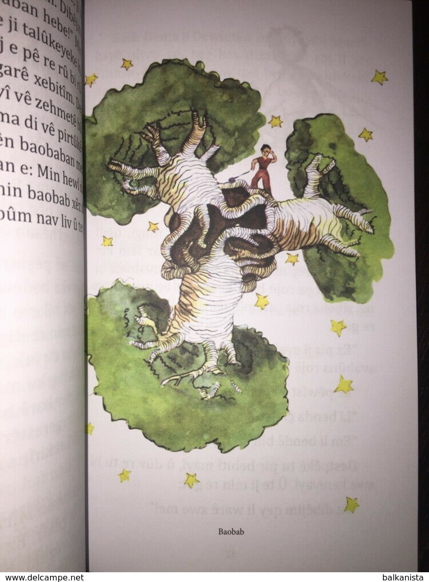 LITTLE PRINCE Antoine De Saint Exupery Mirzaye Biçuk KURDISH LANGUAGE - Giovani