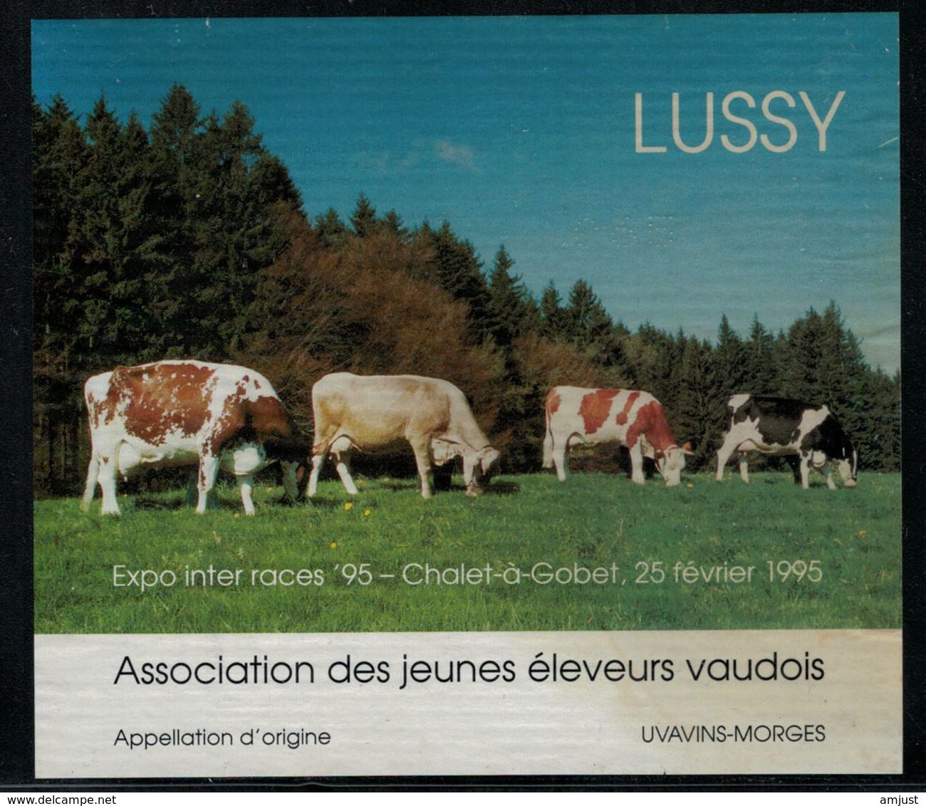 Etiquette De Vin // Morges, Association Des Jeunes éleveurs Lussy - Kühe