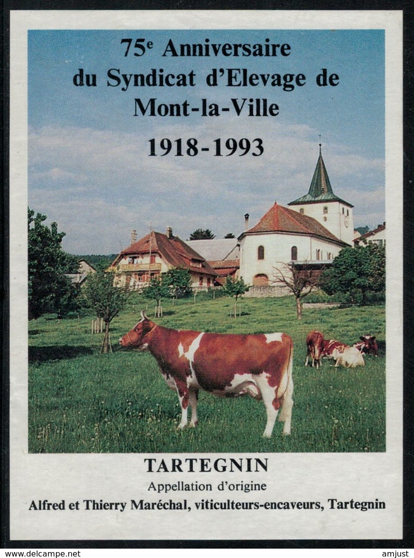 Etiquette De Vin //  Tartegnin, 75 Ans Du Syndicat D'élevage De Mont-la-Ville - Kühe