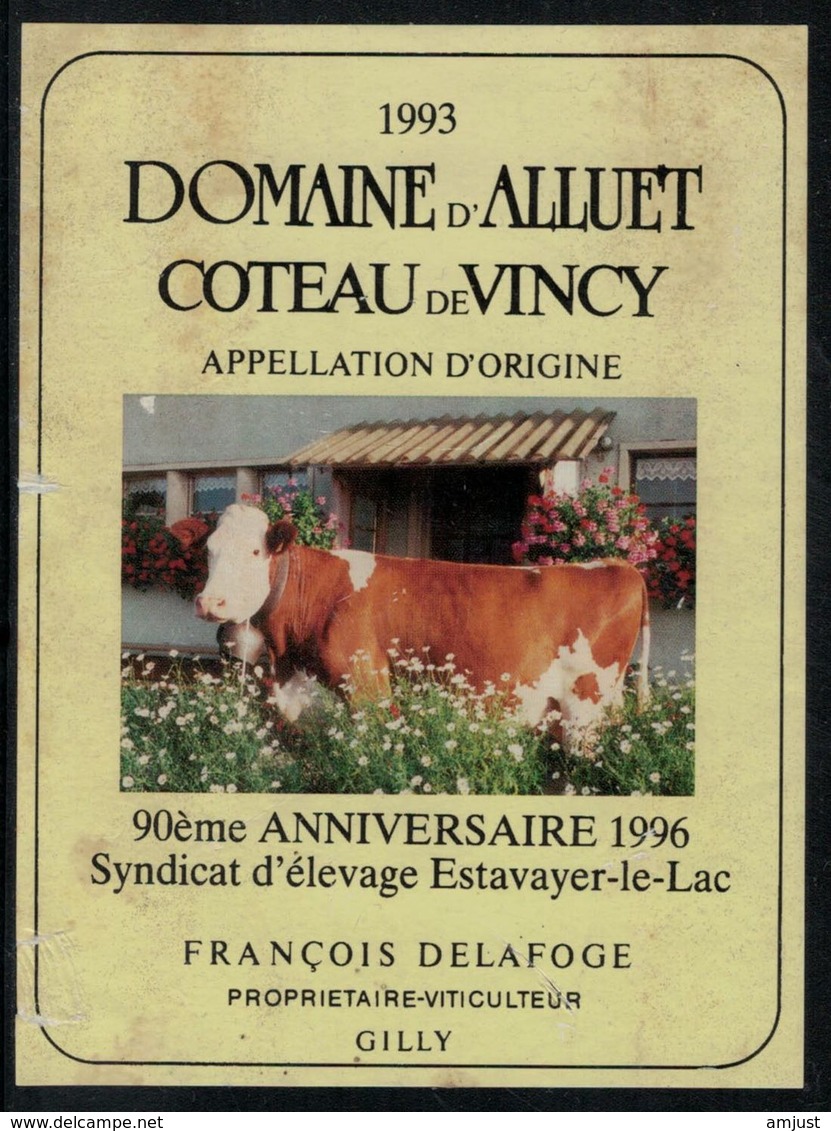 Etiquette De Vin //  Coteau De Vincy, 90 ème Anniversaire Du Syndicat D'élevage D'Estavayer-le-Lac - Vaches