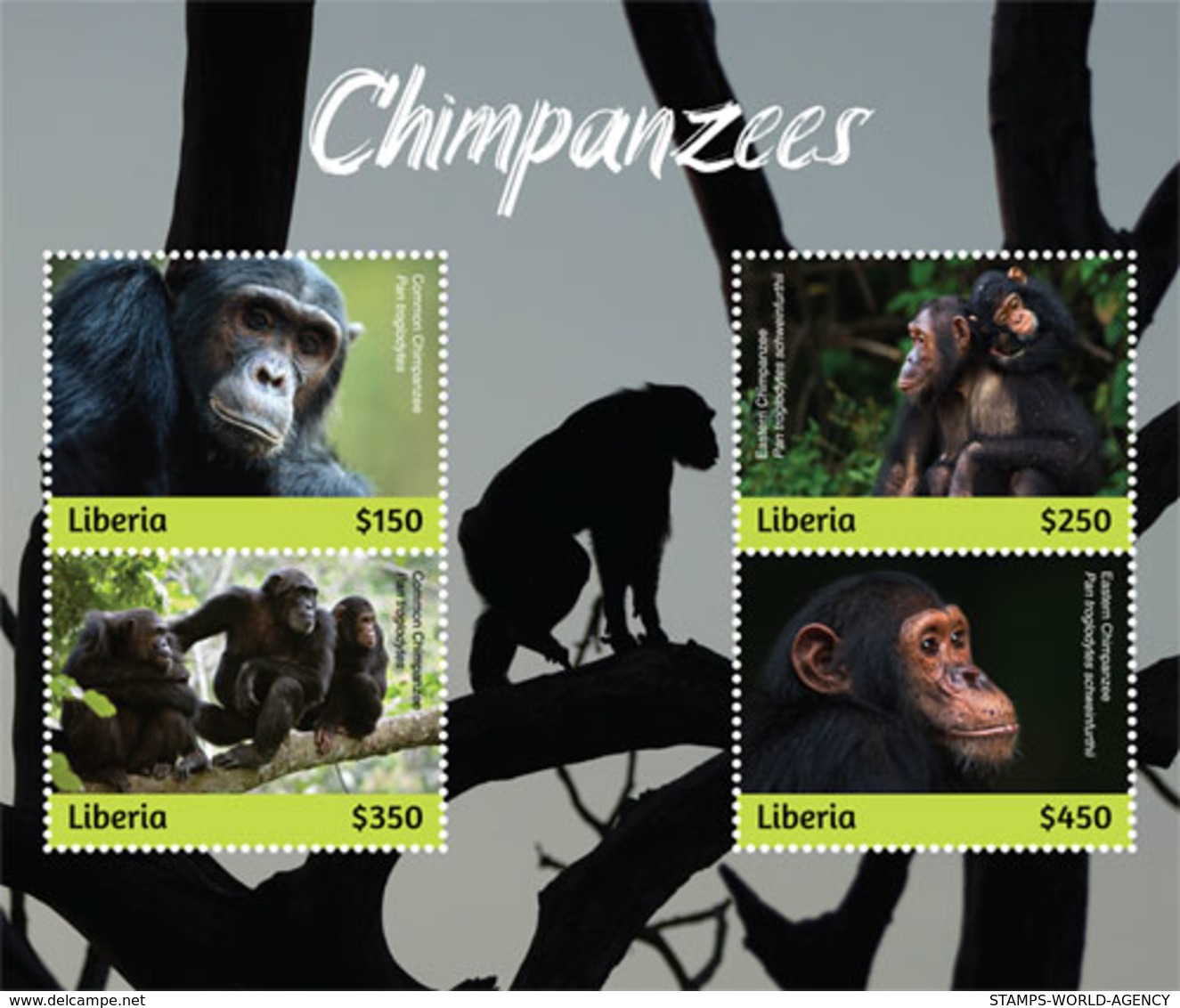 2019-07- LIBERIA-   CHIMPANZEES   4V    MNH** - Chimpanzees