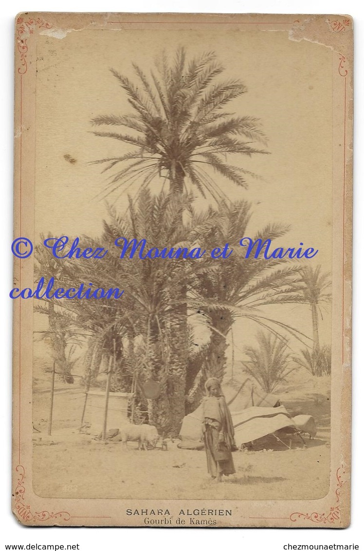 SAHARA ALGERIEN GOURBI DE KHAMES - TENTE MOUTON - PHOTO CDV 15 X 9.5 CM - ALGERIE - Afrique