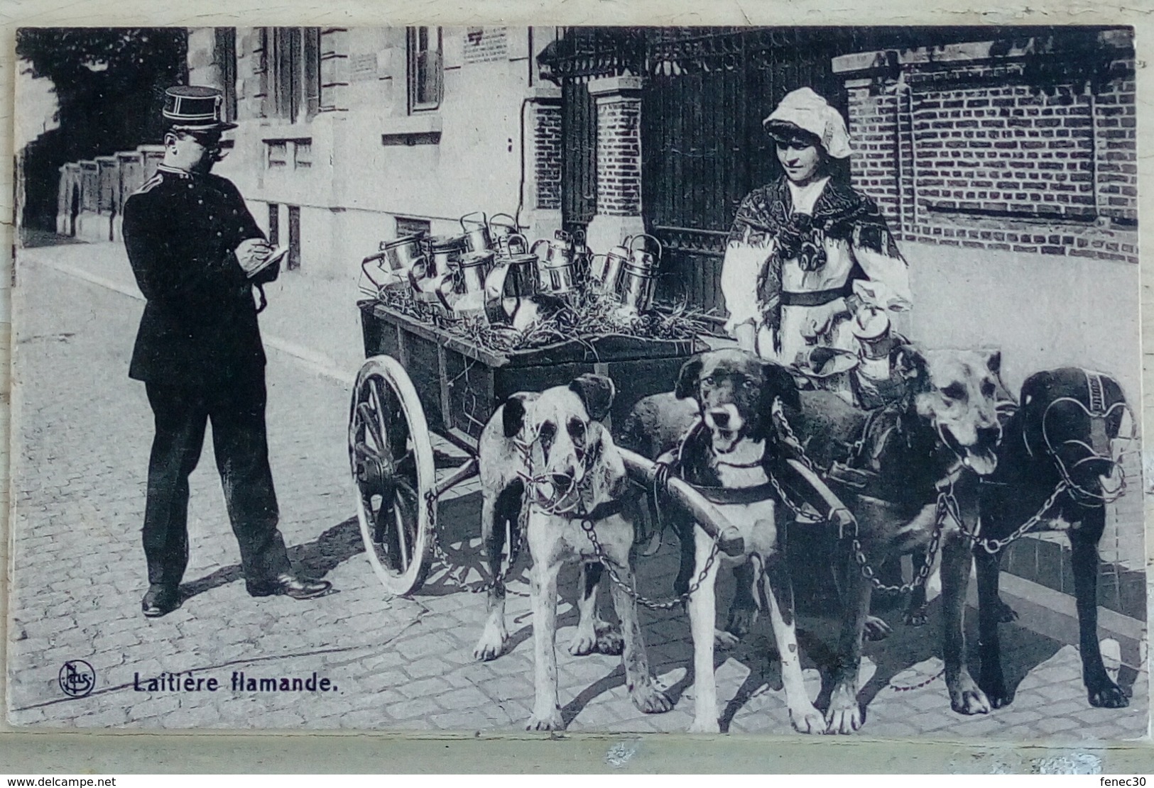 Laitière Flamande Voiture A Chiens - Autres & Non Classés