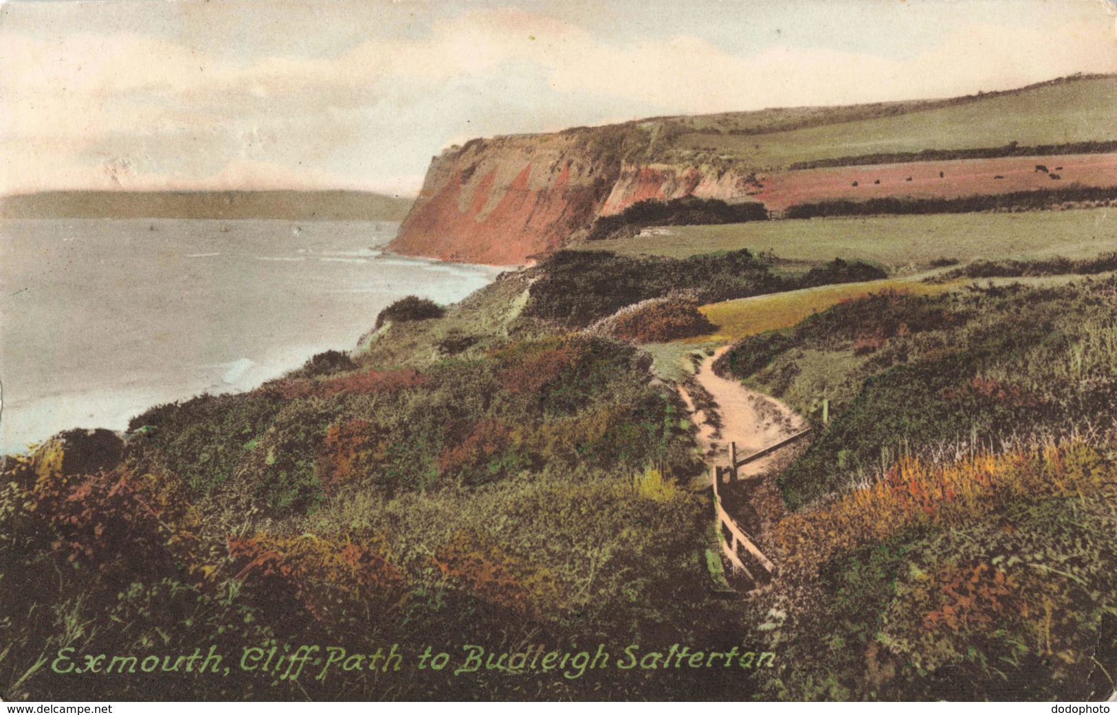 R201586 Exmouth. Cliff Path To Budleigh Saltertan. Friths Series. No. 68716. 1922 - Monde