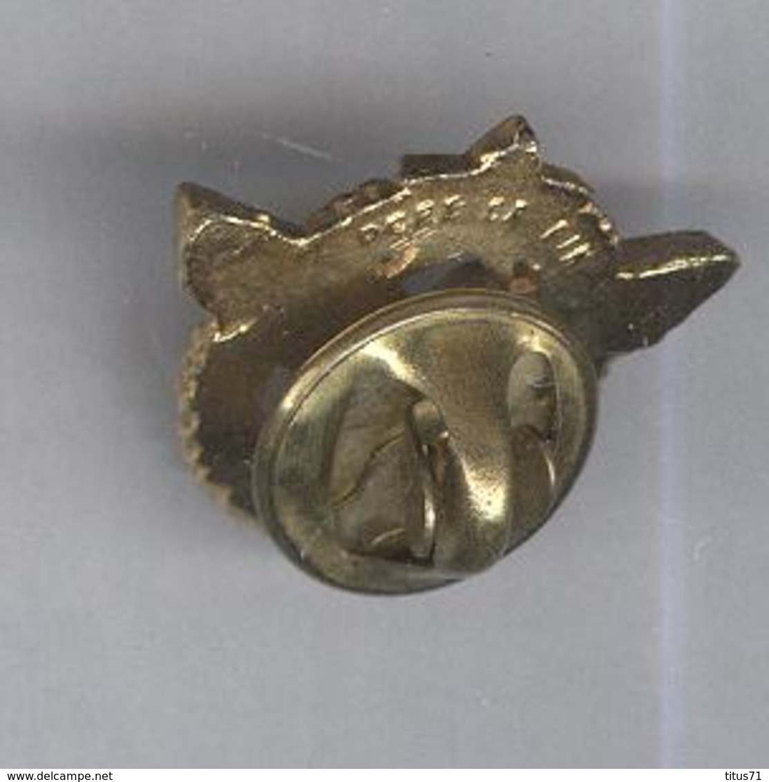 Pin's De Brevet De Pilote Aviateur Militaire - Très Bon état - Armée De L'air