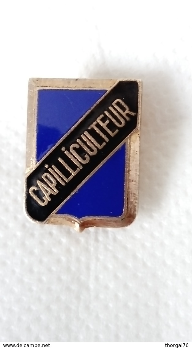 CAPILLICULTURE RARE BADGE ANCIEN 1900 - Art Populaire