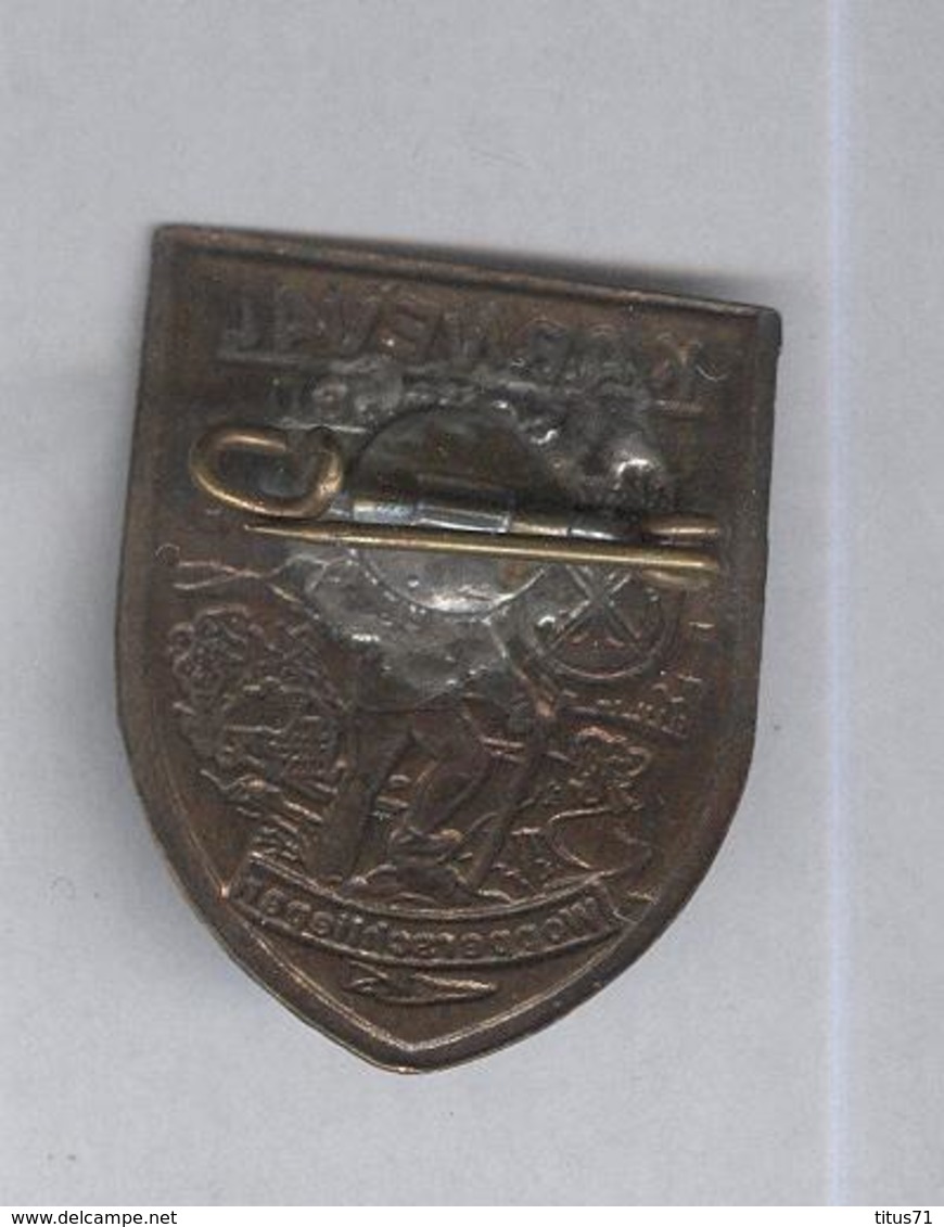 Badge Allemand Ancien Karneval In Solingen - Wopperschlleper ? - Altri & Non Classificati