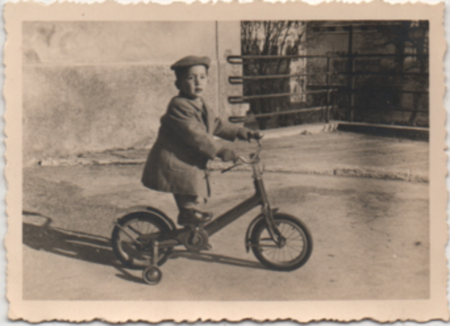 Fotografia Su Cartoncino Cm. 6,3 X 8,7 Con Bambino Su Triciclo. Anno 1942 - Persone Anonimi