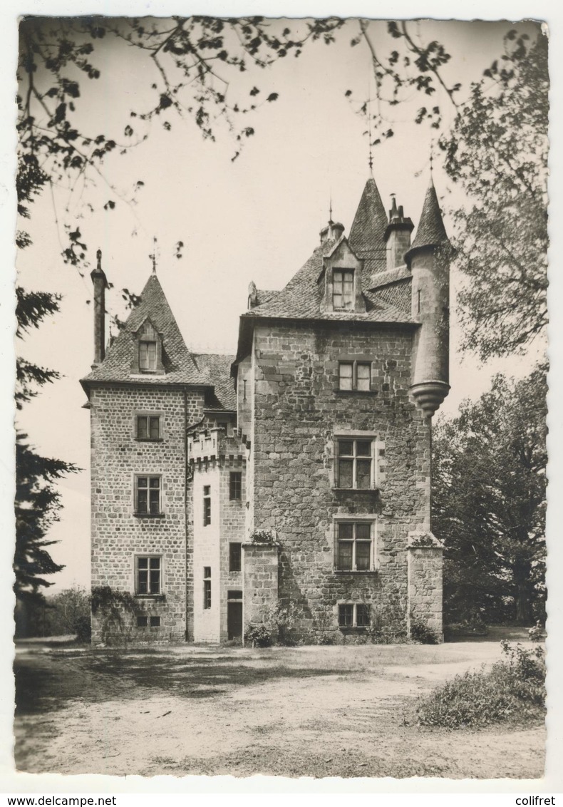 19 - Egletons -        Château De Maumont  -  Façade Est - Egletons