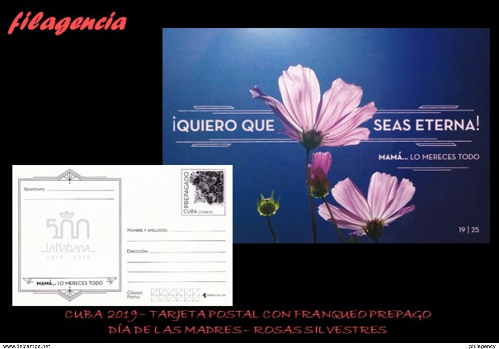 CUBA. ENTEROS POSTALES. TARJETA POSTAL FRANQUEO PREPAGO. 2019 DÍA DE LAS MADRES. FLORES. ROSAS SILVESTRES - Otros & Sin Clasificación