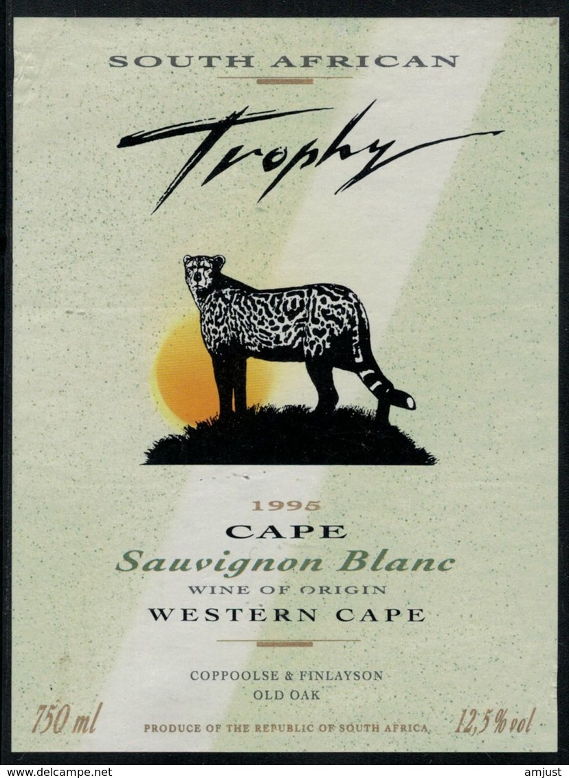 Etiquette De Vin // Afrique Du Sud, Sauvignon Blanc, Le Guépard - Sudáfrica