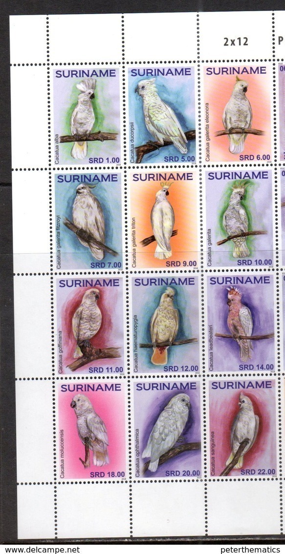 SURINAME, 2018, MNH, BIRDS, PARROTS, COCKATOOS, 12v, HIGH FV - Parrots