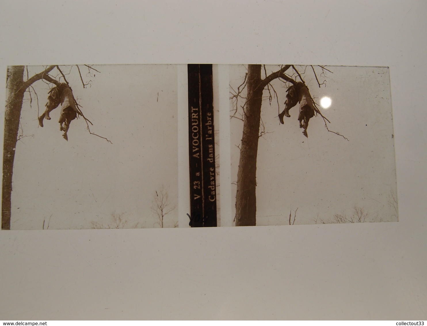 Photo Plaque De Verre Stéréoscopique Guerre 14-18 Avocourt Cadavre Dans L'arbre - Diapositiva Su Vetro